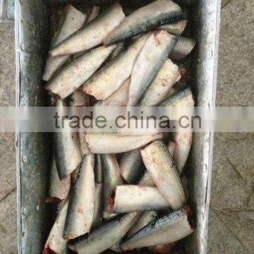 8-10pcs/kg HGT Frozen Sardine for Canning