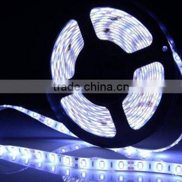 Superbright LED Strip Light 300LED 5630 5meter 12VDC photo-2