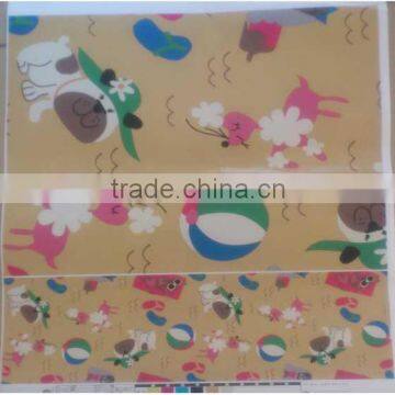PVC Sheet for Raincoat Plastic Raincoat