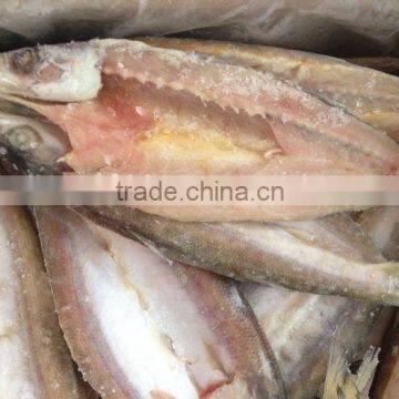 Wholesale Frozen Silver Sillago (Lady Fish)