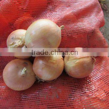 Yellow Onion Red Onion Specification Fresh photo-6