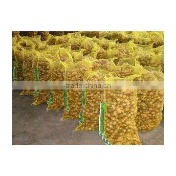 2016 Chinese Mature Ginger for Sale