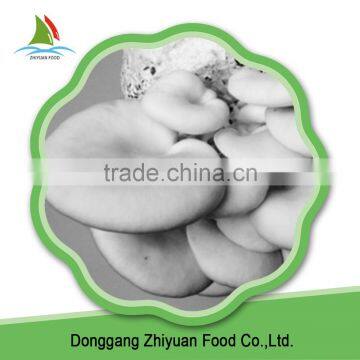 Cut Frozen Oyster Mushroom