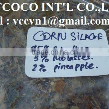 Animal feed Corn Silage