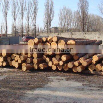Round Timber Logs