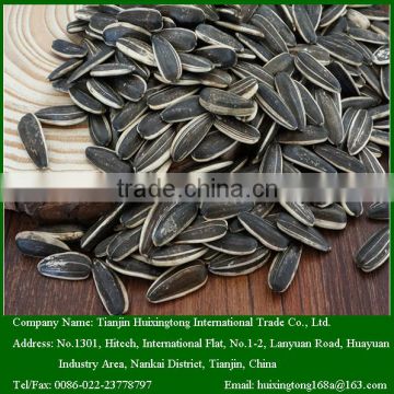 Chinese 5009 Sunflower Seeds For Snack or Edible