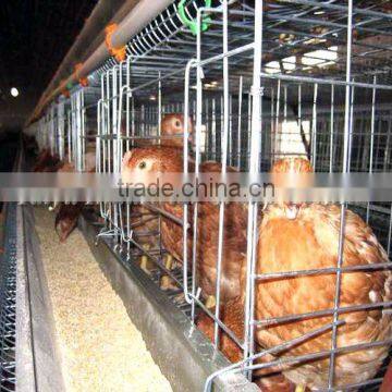 China/Chinese chicken layer cage