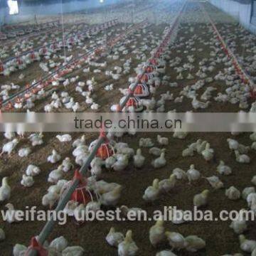 Modern Chicken Shed Broiler Poultry Farm