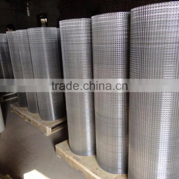 electro galvanized square welded wire mesh netting 1.2x30m