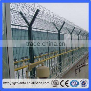 450mm 3 Clips BTO 22 Galvanized Razor Barbed Wire to Philippines(Guangzhou Factory) photo-5