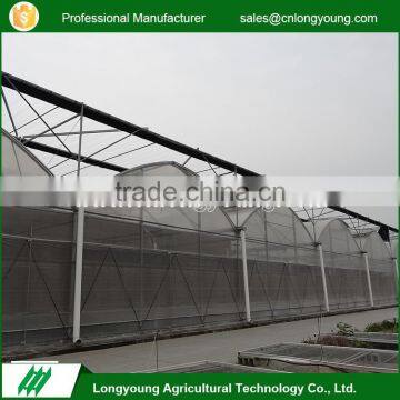 Professional eco-friendly multi-span plastic vegetables greenhouse