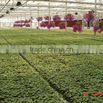 Greenhouse Farm for Sale photo-3