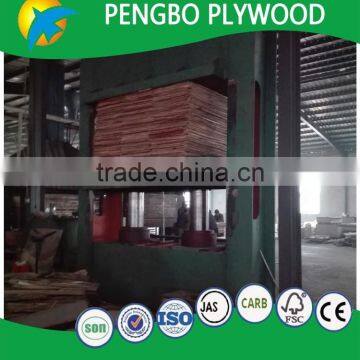 15mm Laminated Oak Plywood / Furniture Plywood photo-5
