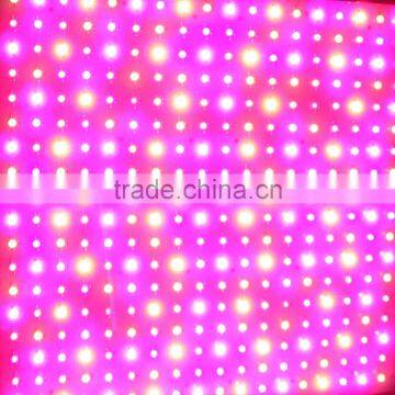 Mars II 1600w Hydrophonic 324*5W Led Grow Light Veg/flower Epistar Led Grow Light Full Spectrum Cob Lamp Greenhouse Lighting photo-4