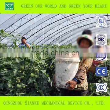 Advanced Agricultural Greenhouse for Vegetable photo-3