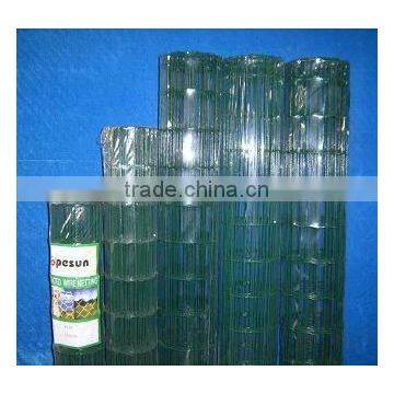 galvanized welded wire mesh(factory)