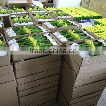 Artificial Mini Narcissus Bonsai for Table Decoration photo-4