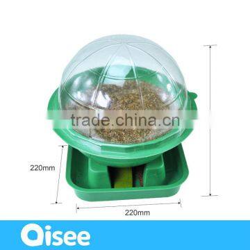 Temperate Climate and Indoor Plants Use Greenhouse photo-4