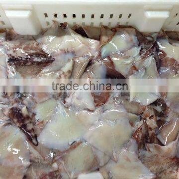 Frozen Squid Wing photo-3
