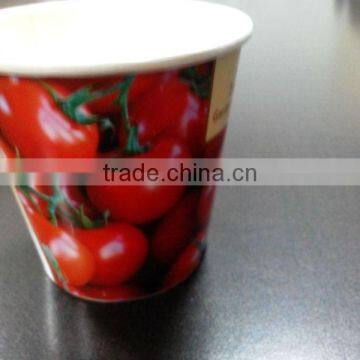 Paper Vegetable Pot photo-2