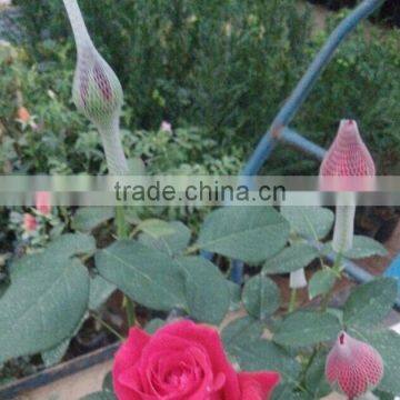 Packing Material Rose Bud EPE Net photo-2