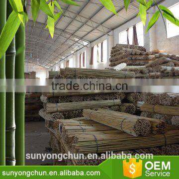 Diameter Flag Pole Curtain Christmas Decoration Bamboo Canes for Plants Farm photo-5