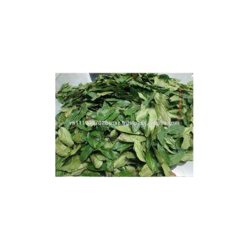 DRIED SOURSOP LEAVES photo-2