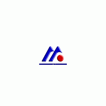Shanghai Songmai Precision Mould Co., Ltd.