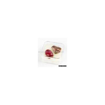 Plastic Box Stones Craft , Two Gemstone---Red Jasper