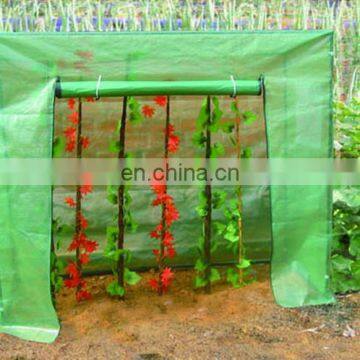 TOMATO GREENHOUSE