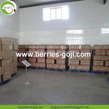 Factory Supply Nutrition Dried Chinese Wolfberry photo-5