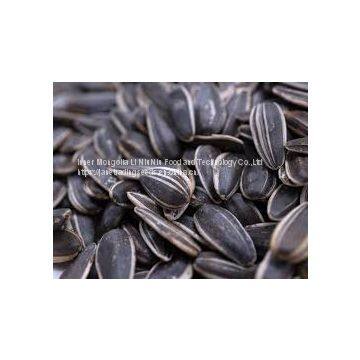 Sunflower Seeds for Human Consumption