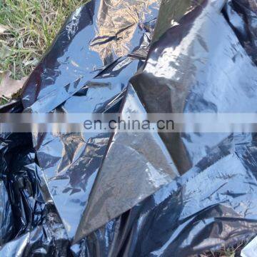 Fast production ldpe/hdpe biodegradable black agricultural mulching plastic film with holes