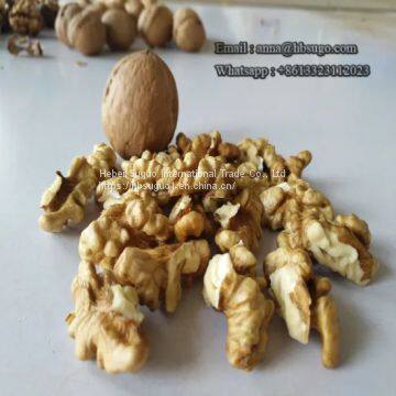 Various Sizes Walnut Kernels Supplier First Quality Walnut Kernel