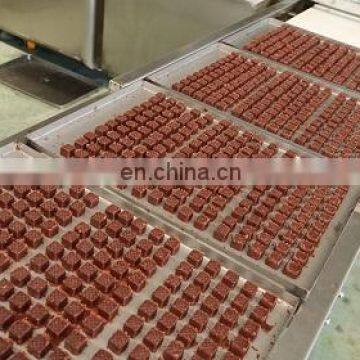 Dog Meat Dice Treat Forming Machine Beef Granuales Making Machine photo-2