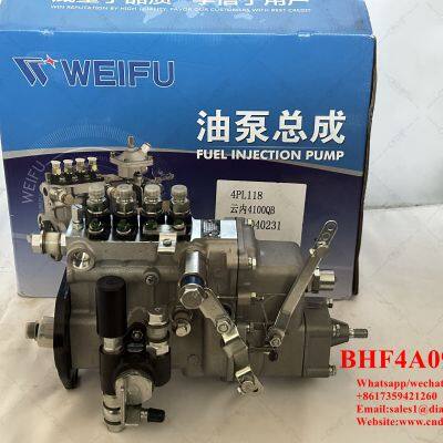 Origianl WUXI Weifu Fuel Injection Pump BHF4A090012 4PL118 ,Plunger IW7,Delivery Valve F176 and Repair Kit For Pump BHF4A090012