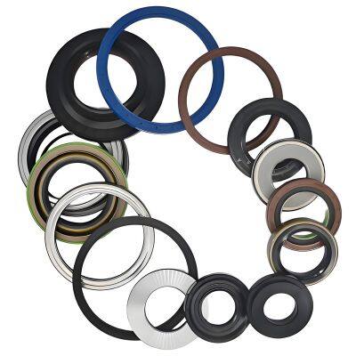 Hot Sale Wear Resistant Oil Seals NBR FKM ACM Frame Oil Seals TC TB TG TA DC SC Type Seals photo-2