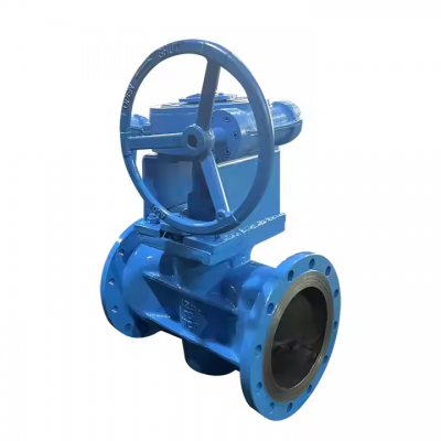 DN65 DN20 Threaded Plug Valve PN10 PN16 WCB Plug Valve Stainless Steel SS304 316 CF8 CF8M Threaded Plug Valve photo-5