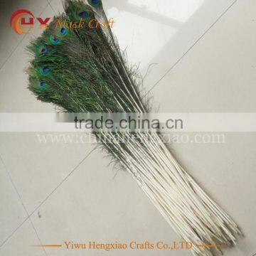 Factory Wholesale Indian Peacock Feather for Sale photo-4