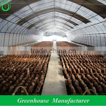 hot galvanized steel shiitake mushroom greenhouse