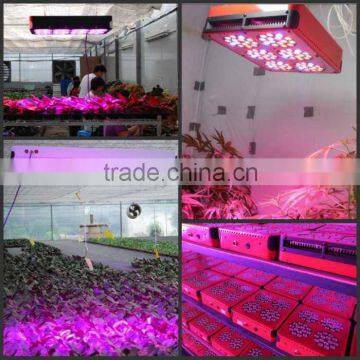 Cheapest Hot Sell 15w Led Grow Light 12v dc photo-2