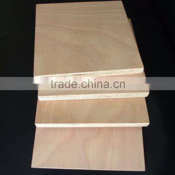 Plywood Hot Press photo-4