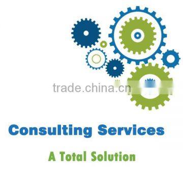 OEM & ODM Top Consulting Firmsproject Management Casting Consulting Services