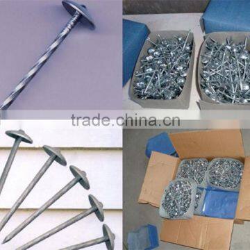 Galvanized Roofing Nail photo-2