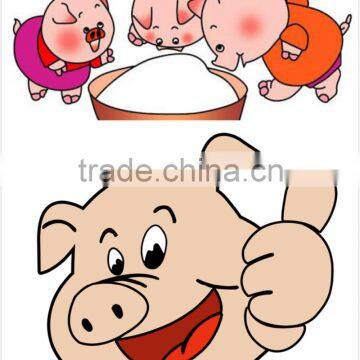 Feed Grade Threonine 98.5% photo-6