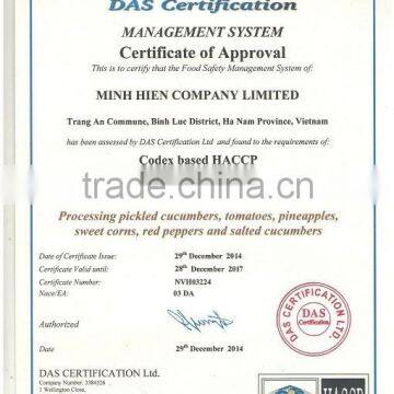 Canned Sweet Corn in 12 0z Tins photo-3