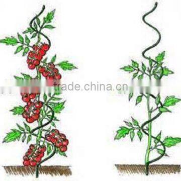 china factory sell metal tomato spiral rod