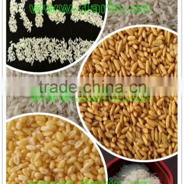 High Profit Artificial Rice Processing Machine/Line