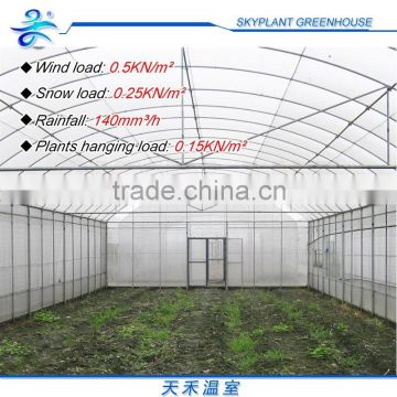 Plastic Film Agricultural Greenhouse Tunnel