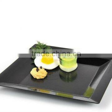 Rectangle black dinner plastic plate